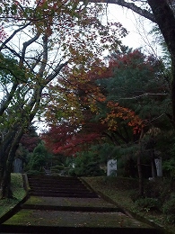 城山公園紅葉情報♪_c0208355_18191578.jpg