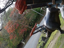 倶利伽羅県定公園周辺紅葉情報_c0208355_19284725.jpg