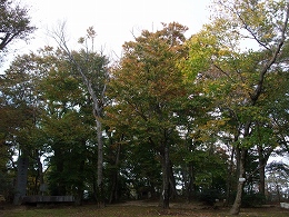 倶利伽羅県定公園周辺紅葉情報_c0208355_19291648.jpg