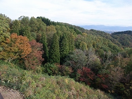 倶利伽羅県定公園周辺紅葉情報_c0208355_19322537.jpg