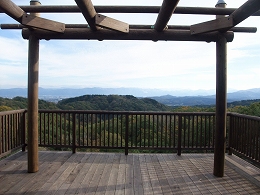 c0208355_193264.jpg