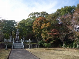 c0208355_1934326.jpg