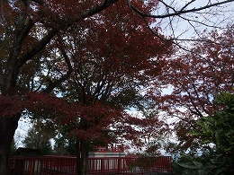 c0208355_19413110.jpg