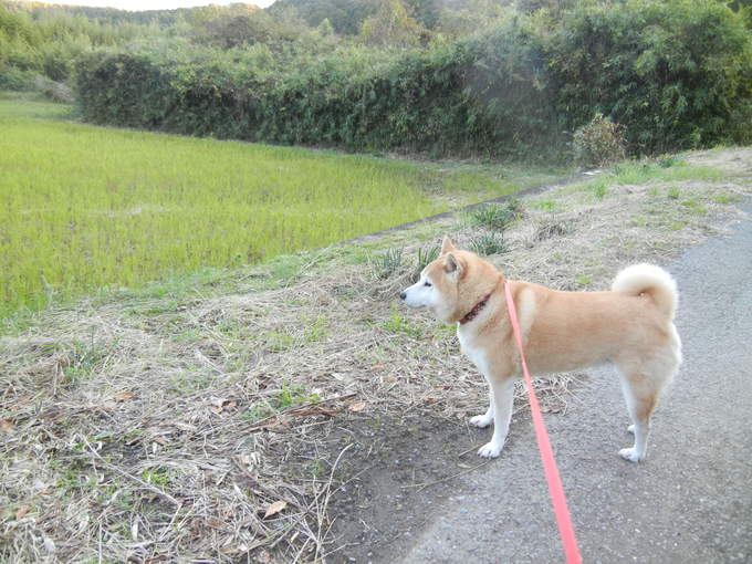 ’13,11,14(木)今日は愛ちゃんのデッサンです!_f0060461_13523476.jpg