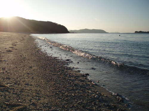 d0048364_10361454.jpg