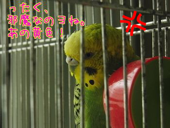 f0196665_16553689.png