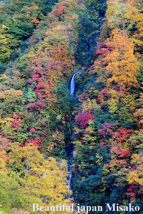 a0117267_19503021.jpg