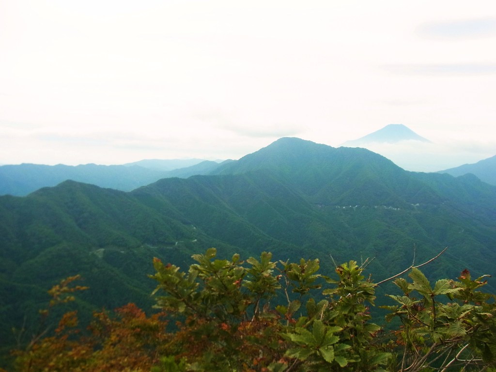 2013/10/08　御正体山　マエダレノ頭　牧ノ沢山　岩下ノ丸　ガンギ沢ノ頭　前編_d0233770_0313231.jpg