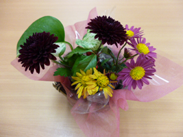 b0159571_107251.png
