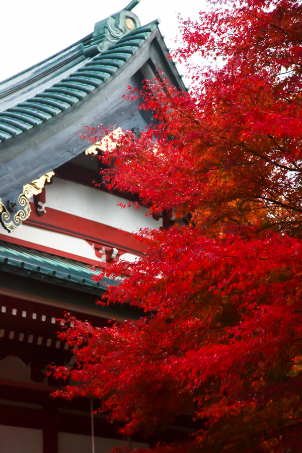 紅葉2013　比叡山延暦寺！　～東塔～_b0128581_205629100.jpg