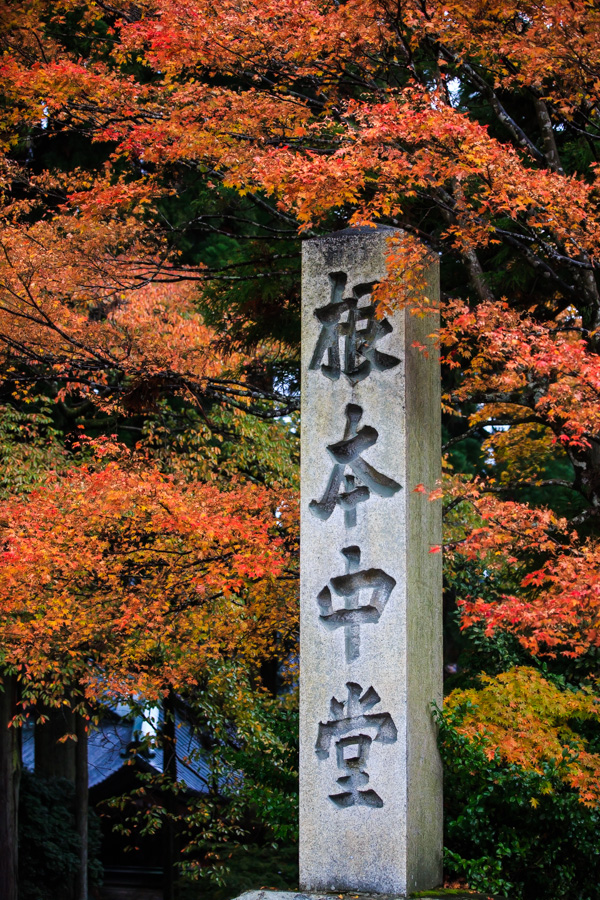 紅葉2013　比叡山延暦寺！　～東塔～_b0128581_21114144.jpg