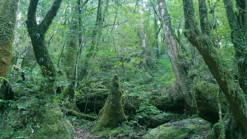 b0240382_22104044.jpg