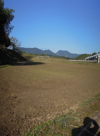 一輪差し_d0195183_11372367.jpg