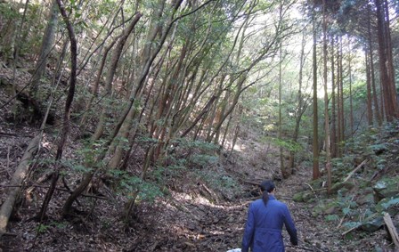 山へ_d0195183_224582.jpg