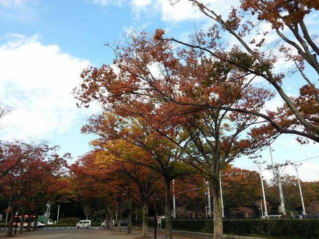a0286784_21102266.jpg