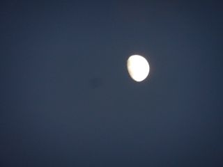 2013年11月14日 一生のうちに何度もない_b0098584_15344639.jpg