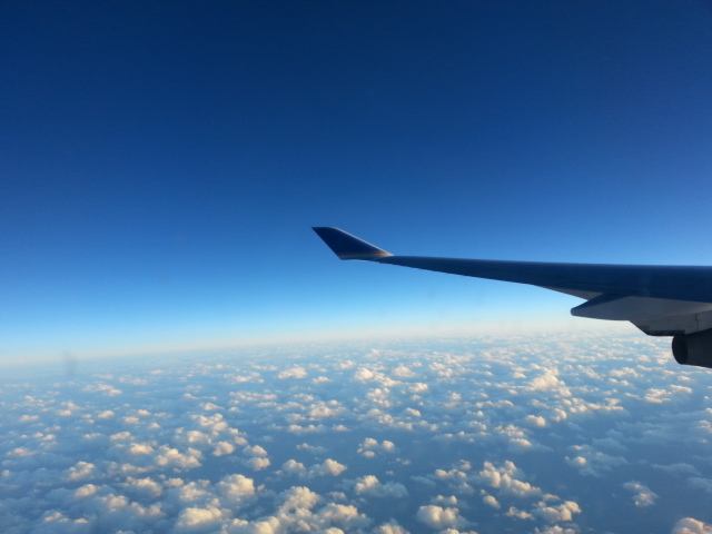c0096685_21123730.jpg