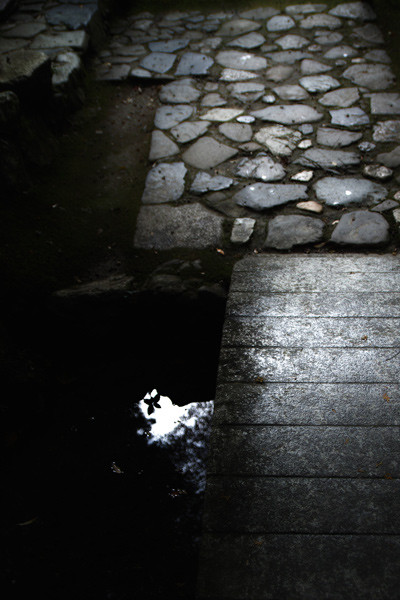 京都・苔寺（西芳寺）_c0197386_1953424.jpg