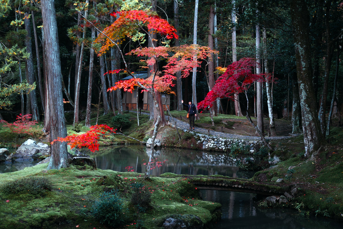 京都・苔寺（西芳寺）_c0197386_1961836.jpg