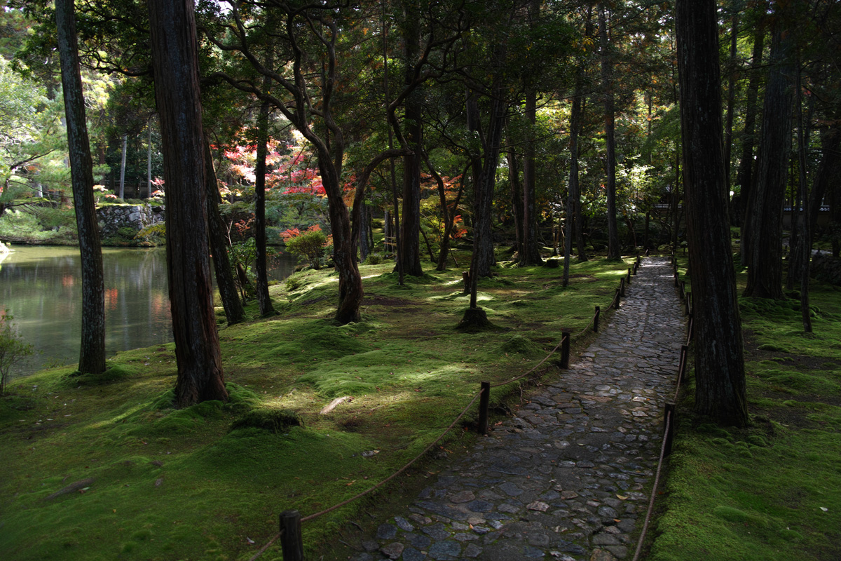 京都・苔寺（西芳寺）_c0197386_1982845.jpg