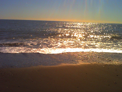 f0301186_2343471.jpg