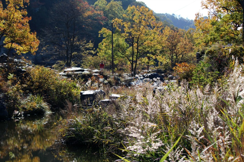 a0127090_2362675.jpg