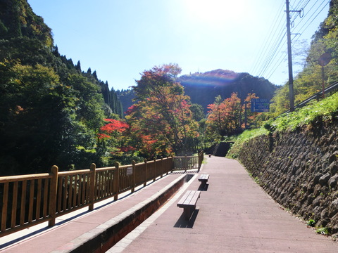 熊本市～霧島へ_d0257697_12305676.jpg