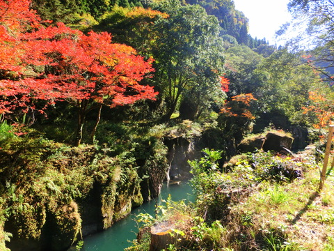 熊本市～霧島へ_d0257697_12312026.jpg