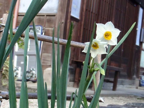 d0069498_2227513.jpg