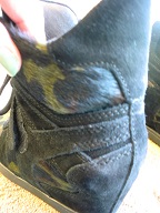 c0113499_1351358.jpg