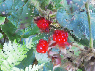 c0272200_16351261.jpg