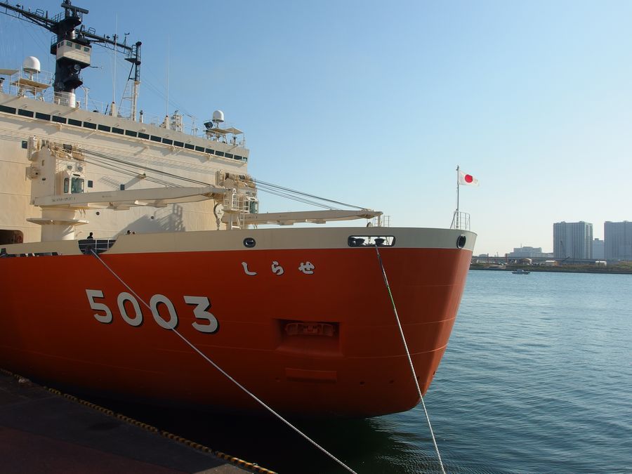 c0193901_1738834.jpg
