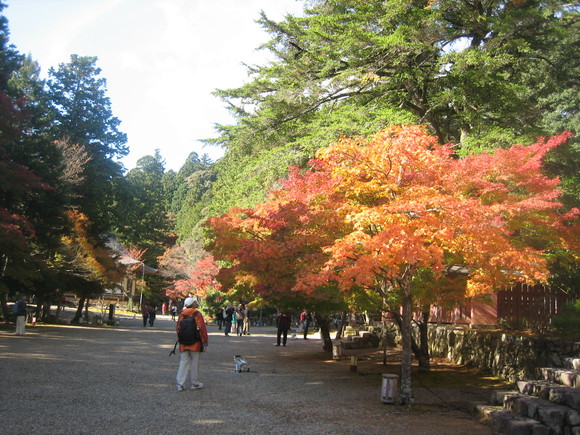a0276402_20351725.jpg