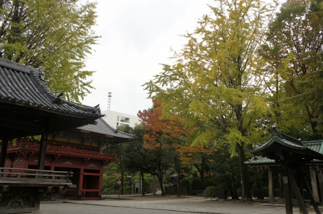 b0190603_13594040.jpg