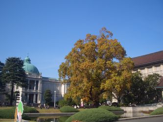 上野美術散歩　2013/11/14_b0044404_14253495.jpg