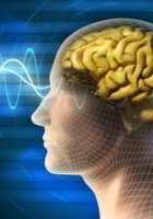バイリンガル脳は認知症(Dementia)になりにくい_b0007805_8103472.jpg