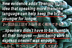 バイリンガル脳は認知症（Dementia）になりにくい_b0007805_8104896.jpg