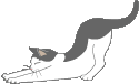 e0178307_13421369.gif