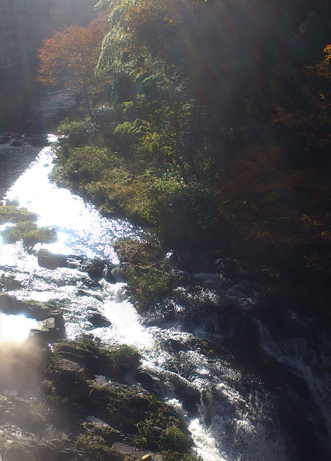 昨日は晩秋の東山温泉を訪ねました～（＾＾_c0145608_14465365.jpg