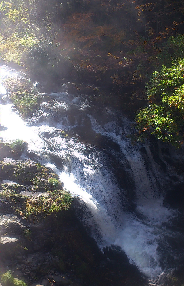 c0145608_14465676.jpg