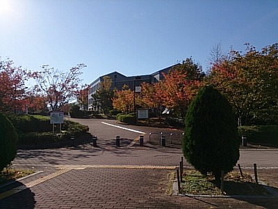 f0096508_1522893.jpg