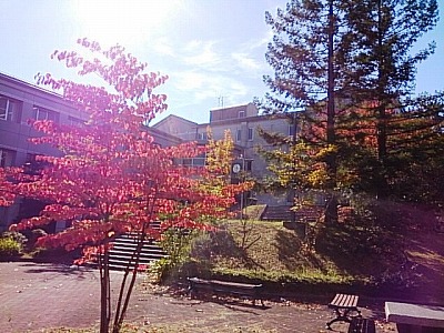 f0096508_15281134.jpg