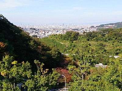 f0096508_15282724.jpg