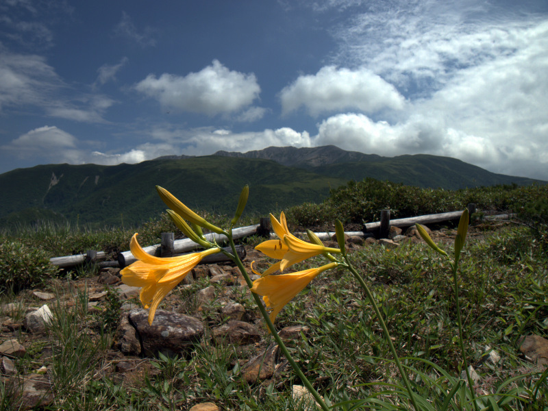 b0244811_23161555.jpg