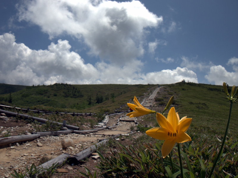 b0244811_2321183.jpg