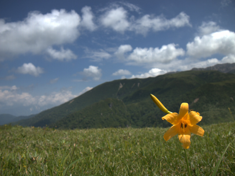 b0244811_2325789.jpg