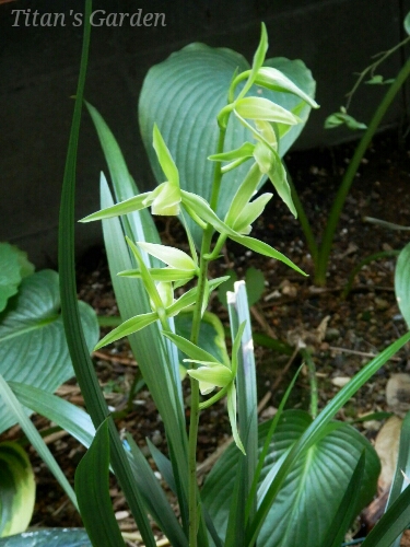 b0099813_0145418.jpg