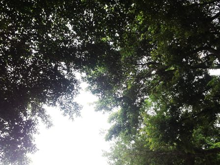 e0117613_11592157.jpg
