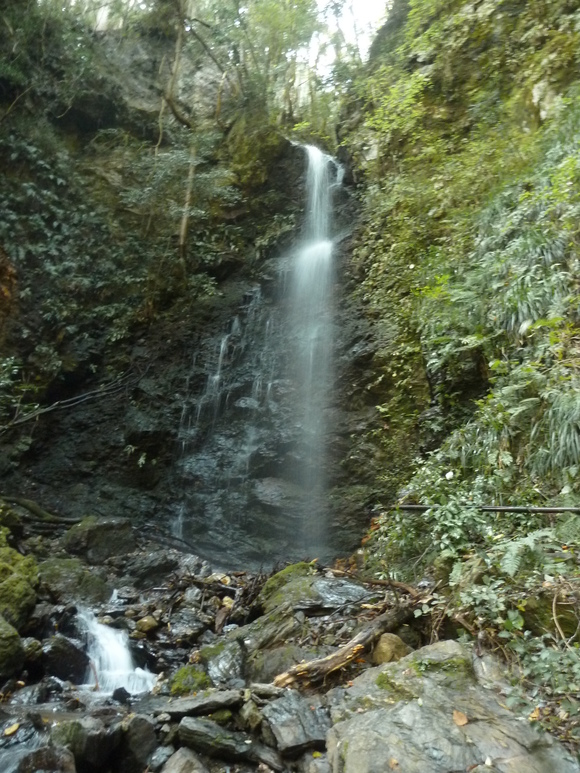 e0284019_9244566.jpg