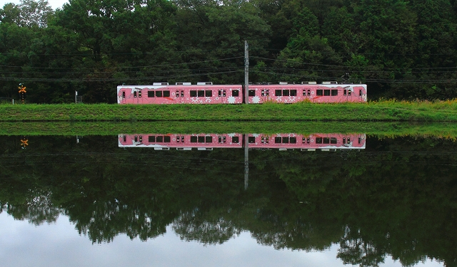 忍者列車　ピンク_c0110922_10455882.jpg